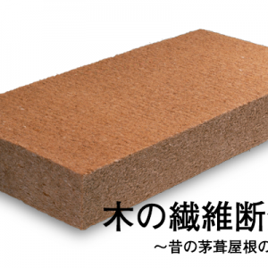 kinoseni_t2
